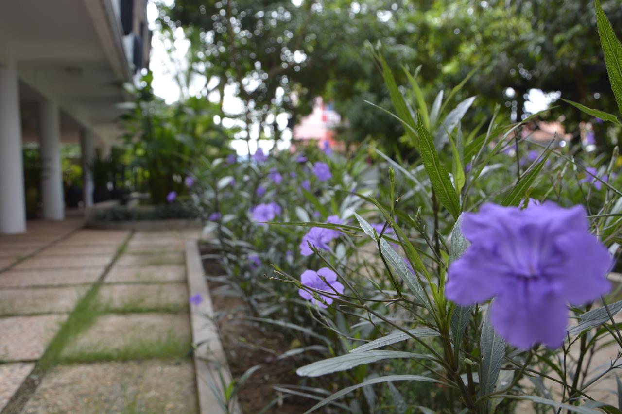 Hotel Bamboo Garden Boutique Siem Reap Esterno foto